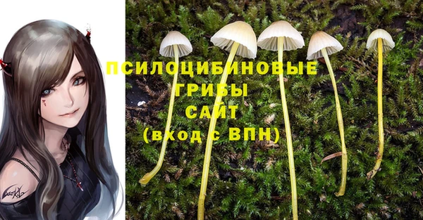 эйфоретик Арсеньев