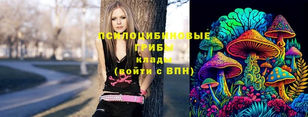 эйфоретик Арсеньев